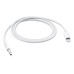 AUX audio kabel -  3,5mm i Lightning